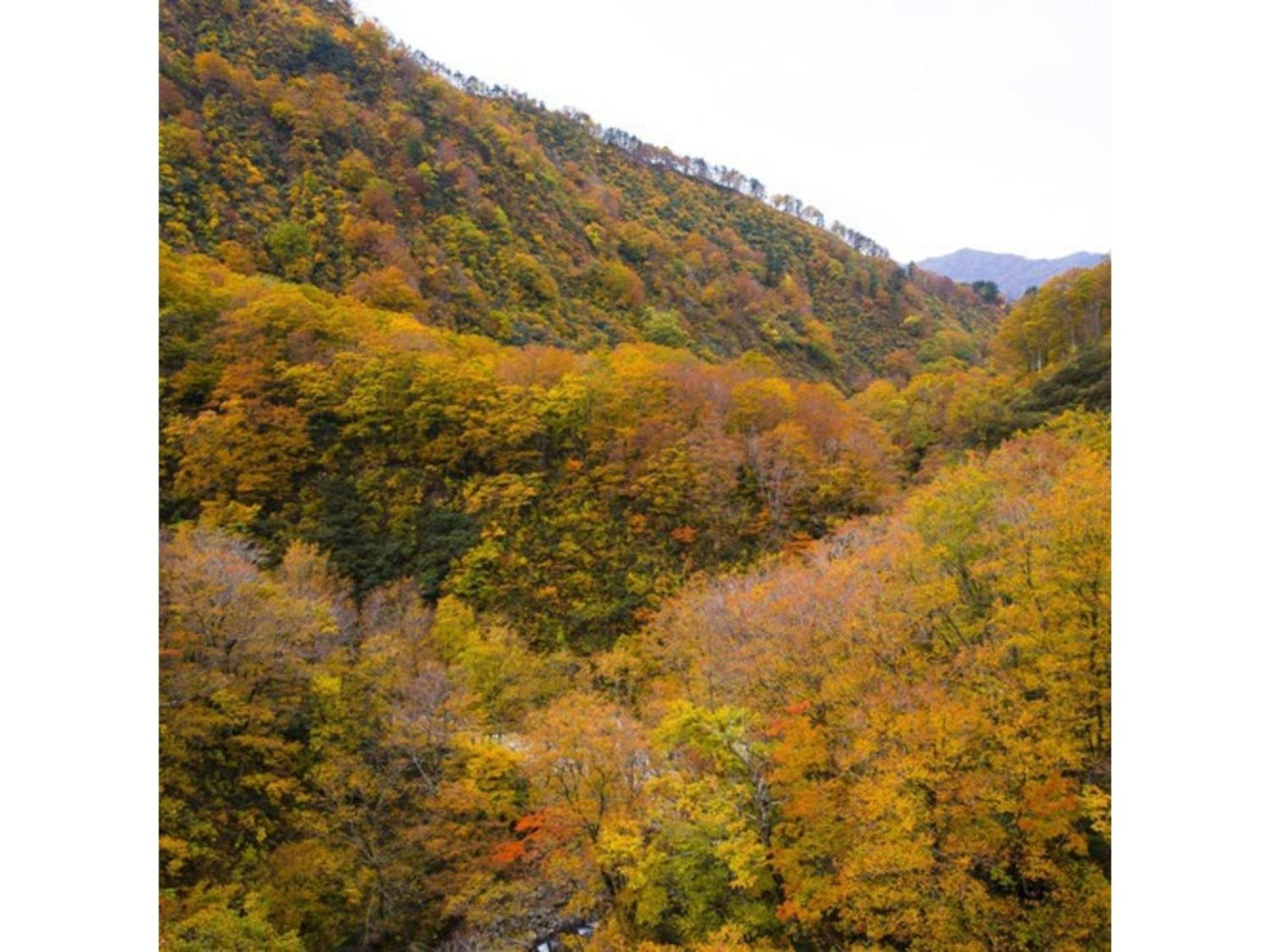Shintainai Onsen Royal Tainai Park Hotel - Vacation Stay 90212V Экстерьер фото